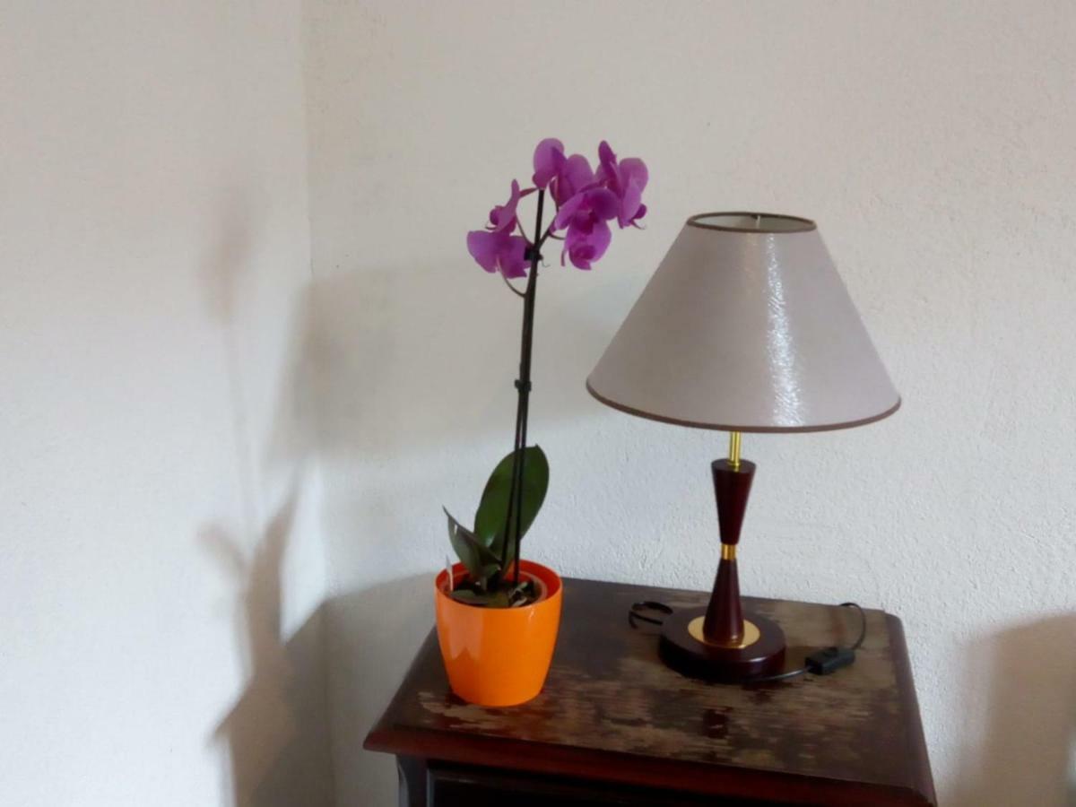 Apartman Teuta Zagreb Dış mekan fotoğraf