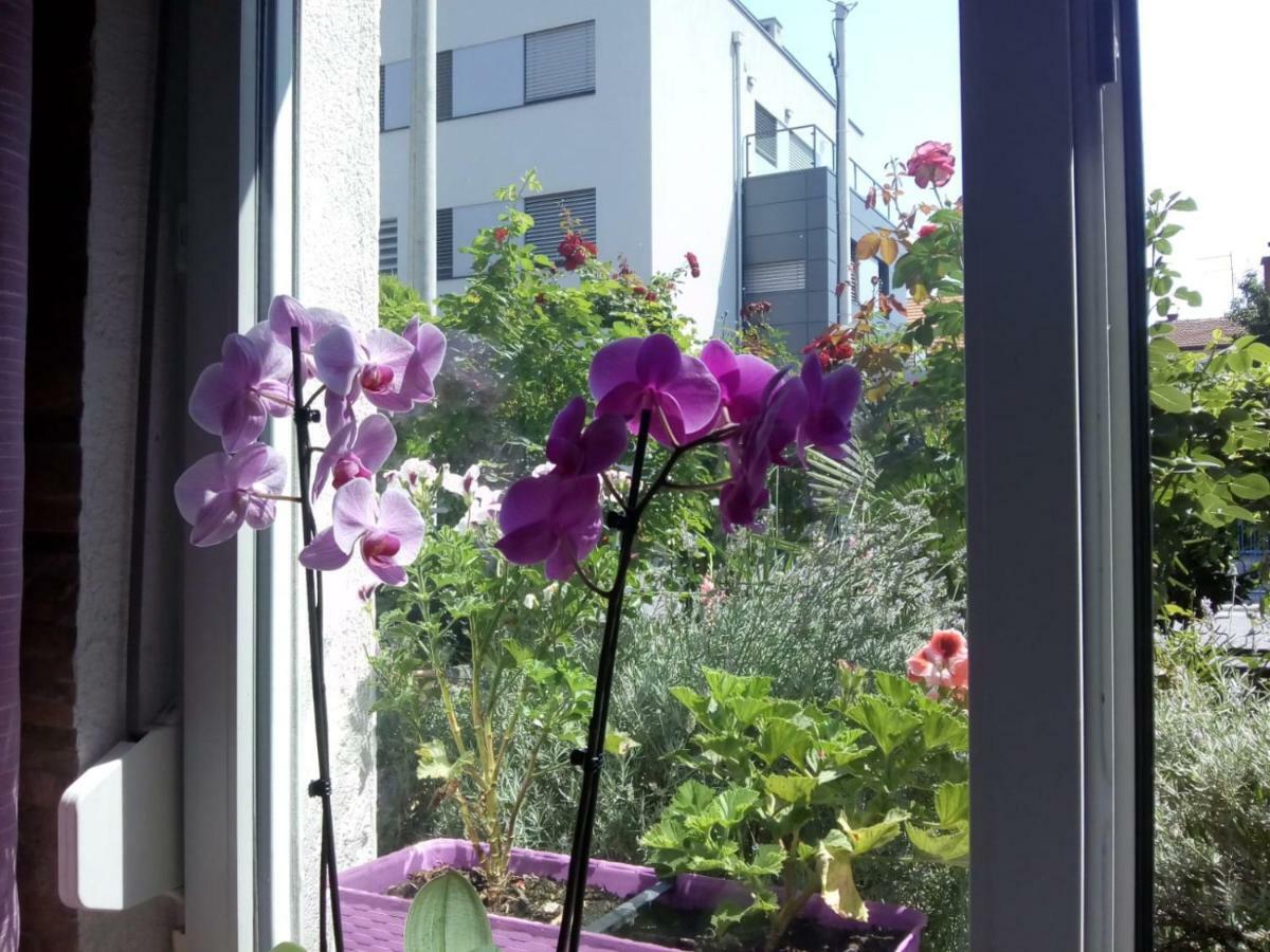 Apartman Teuta Zagreb Dış mekan fotoğraf